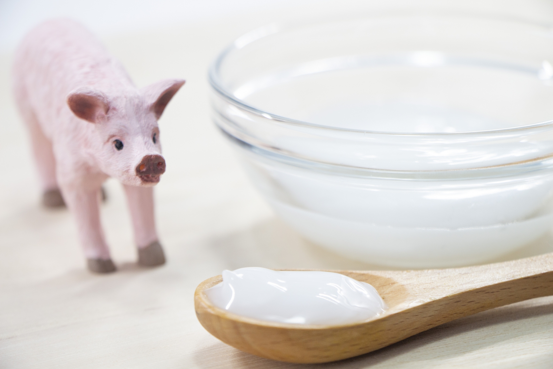 エコ石鹸　ラード